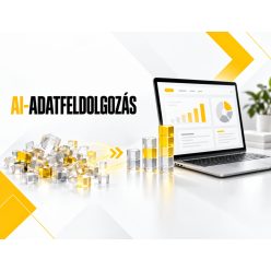 Helyi AI-alapú adatfeldolgozás, adatbázis-rendezés és üzleti elemzés